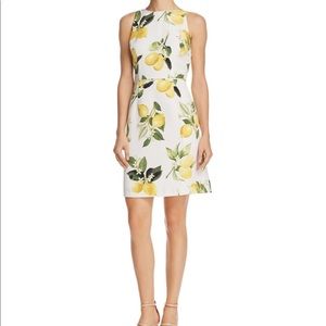 Lemons Shift Dress